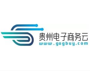 貴州電子商務云運營有限責任公司 實業投資的新篇章